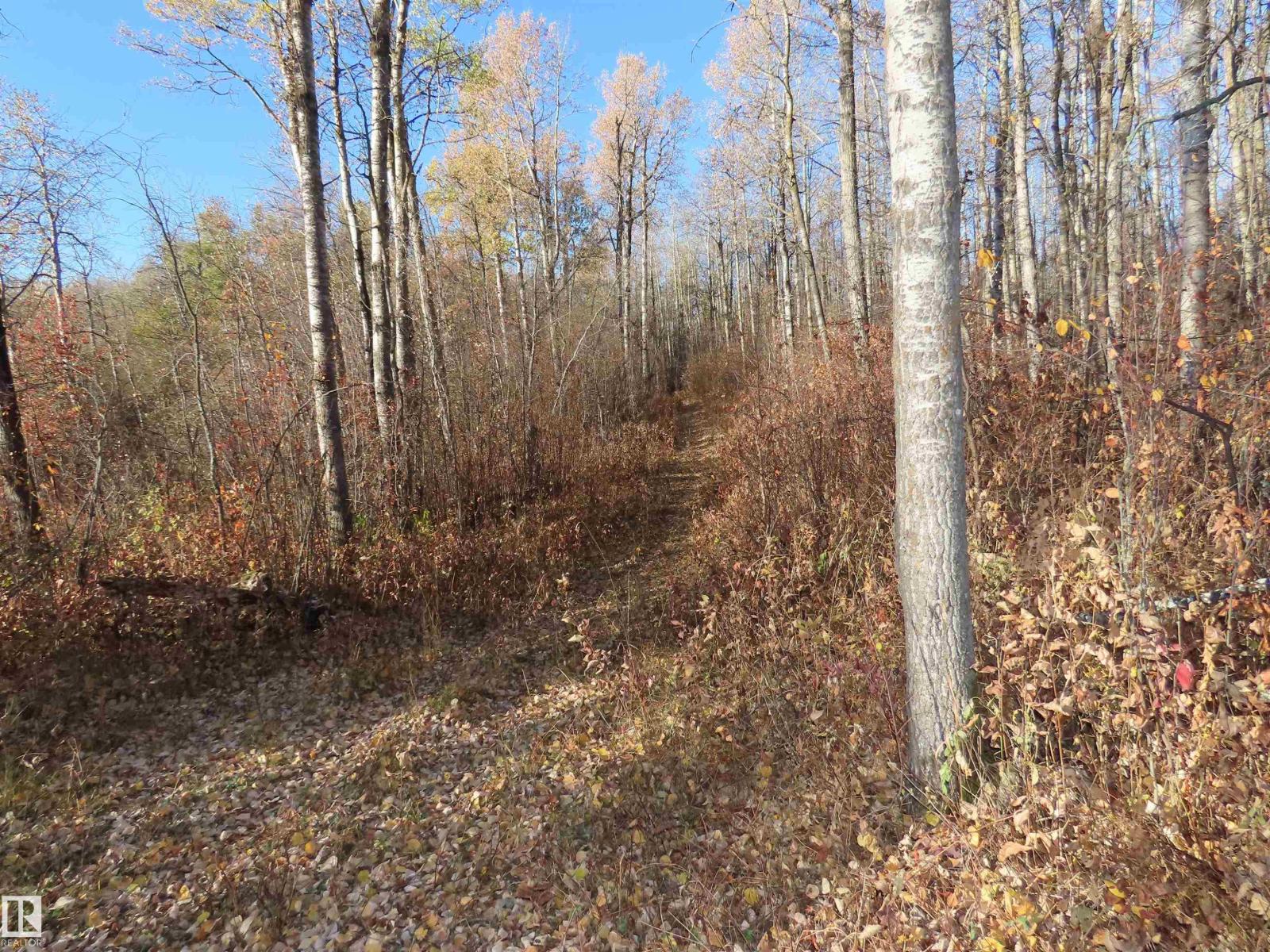 54425 Ste Anne Trail Property Photo 16