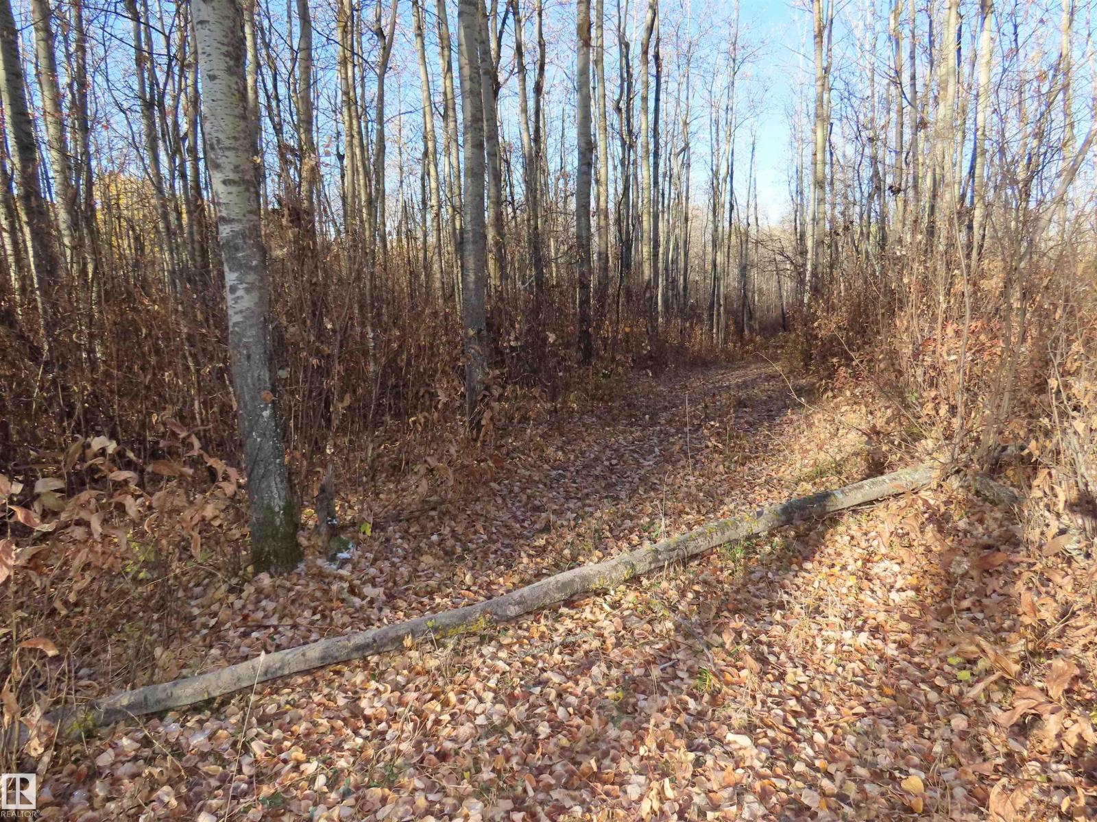 54425 Ste Anne Trail Property Photo 18