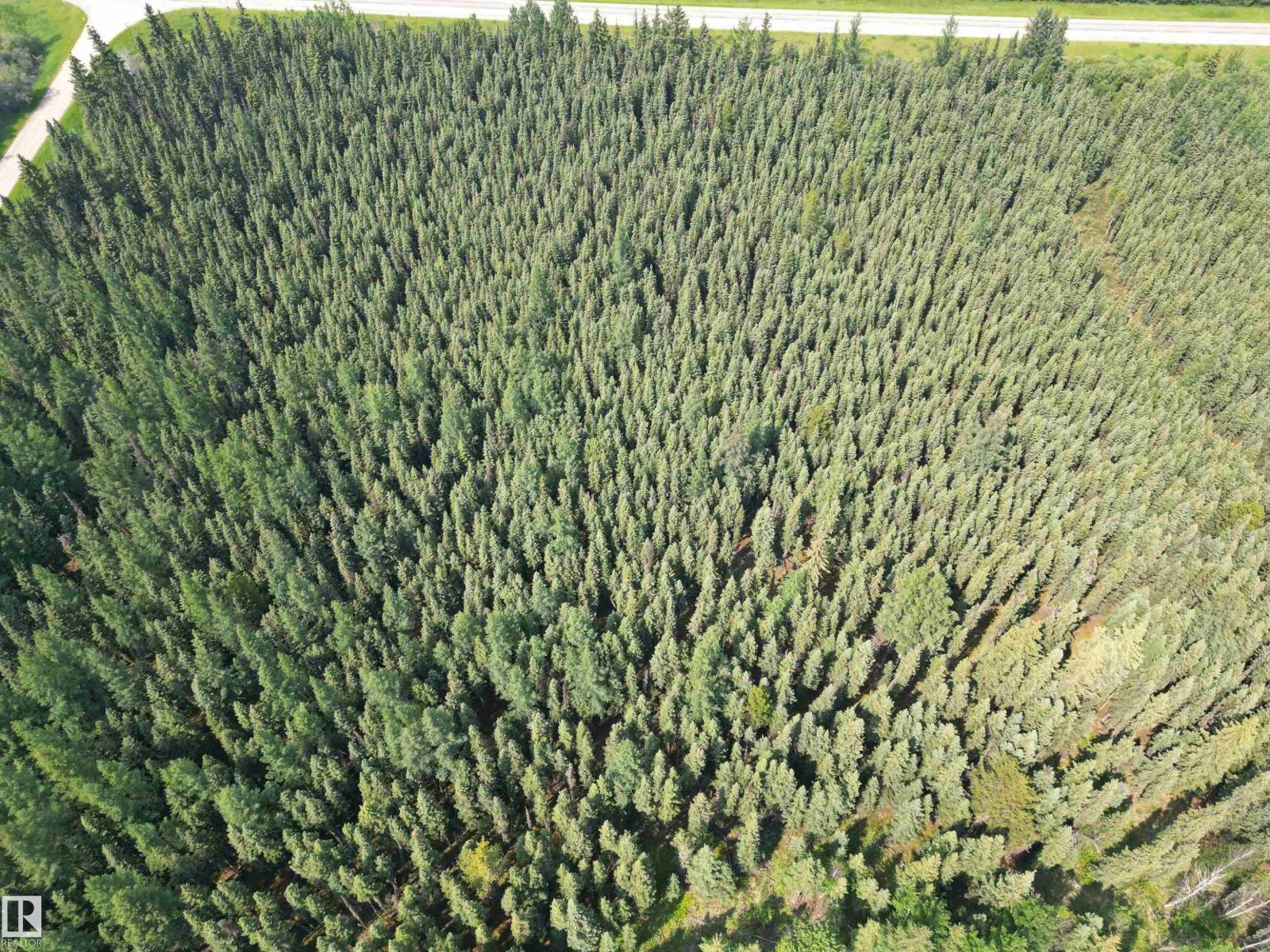 Hwy 16 & Range Rd 100 Property Photo 3