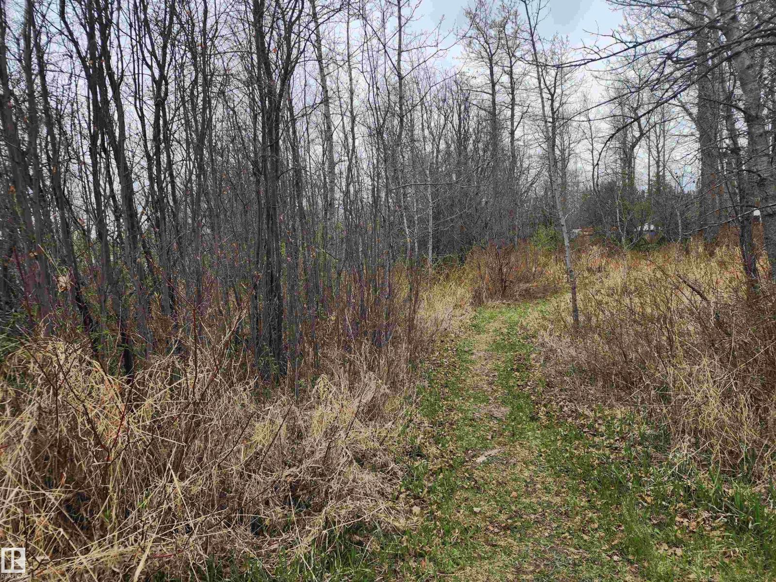612 1 Av E Property Photo 15