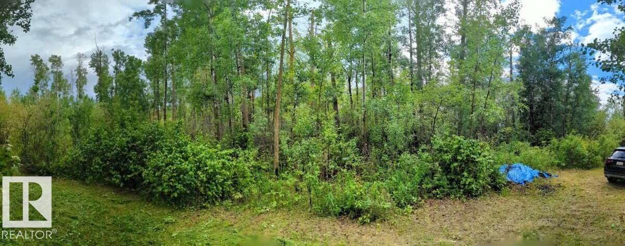 #319 23229 Hwy 651 Property Photo 4