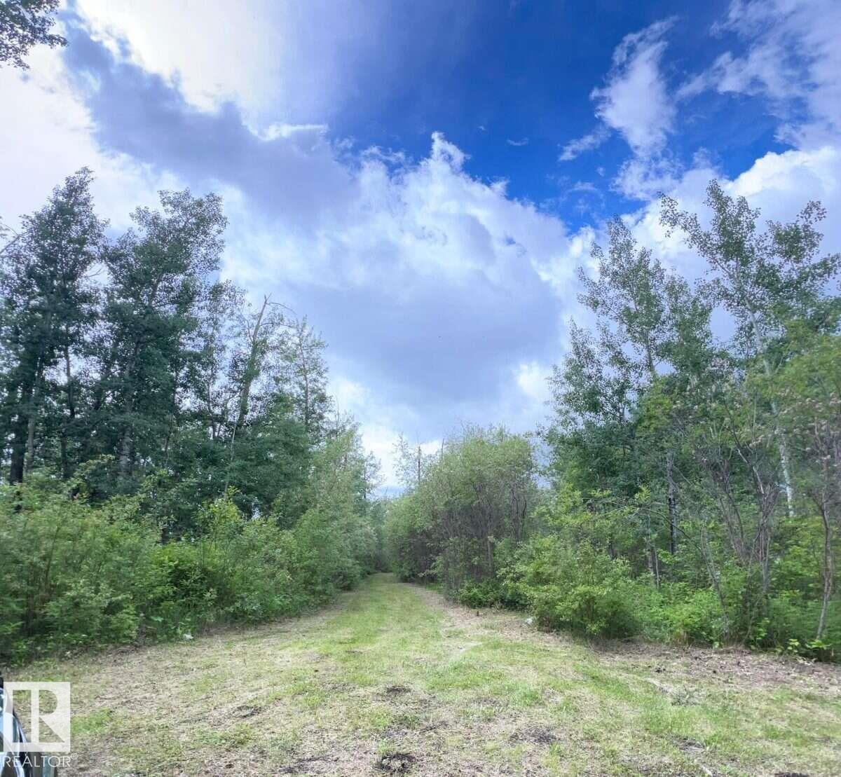 #319 23229 Hwy 651 Property Photo 5