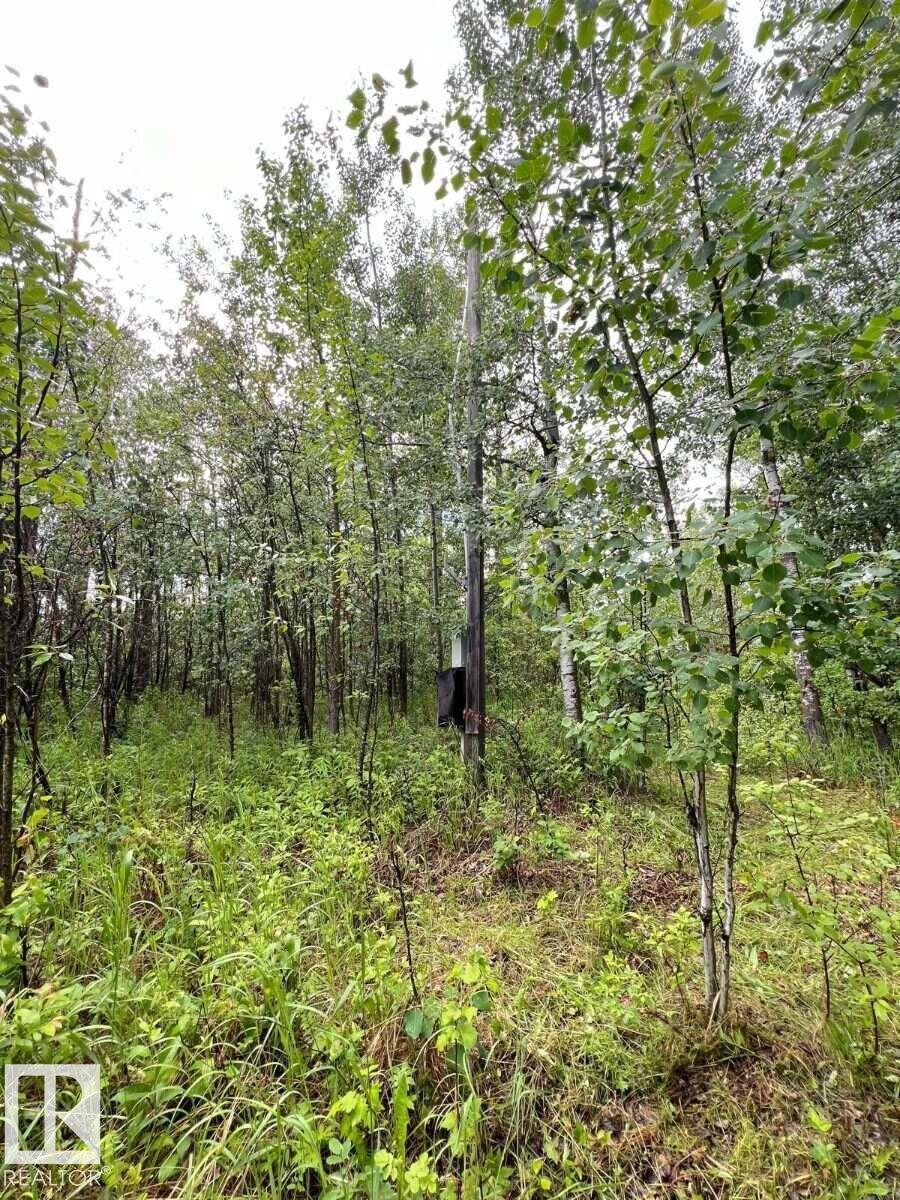 #319 23229 Hwy 651 Property Photo 10