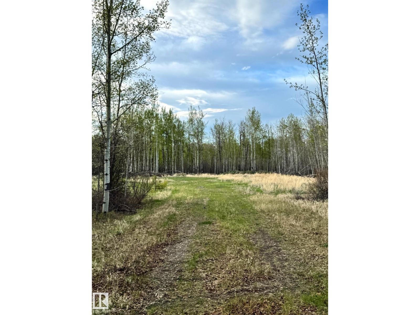 6206 Hwy 16 Property Photo 8