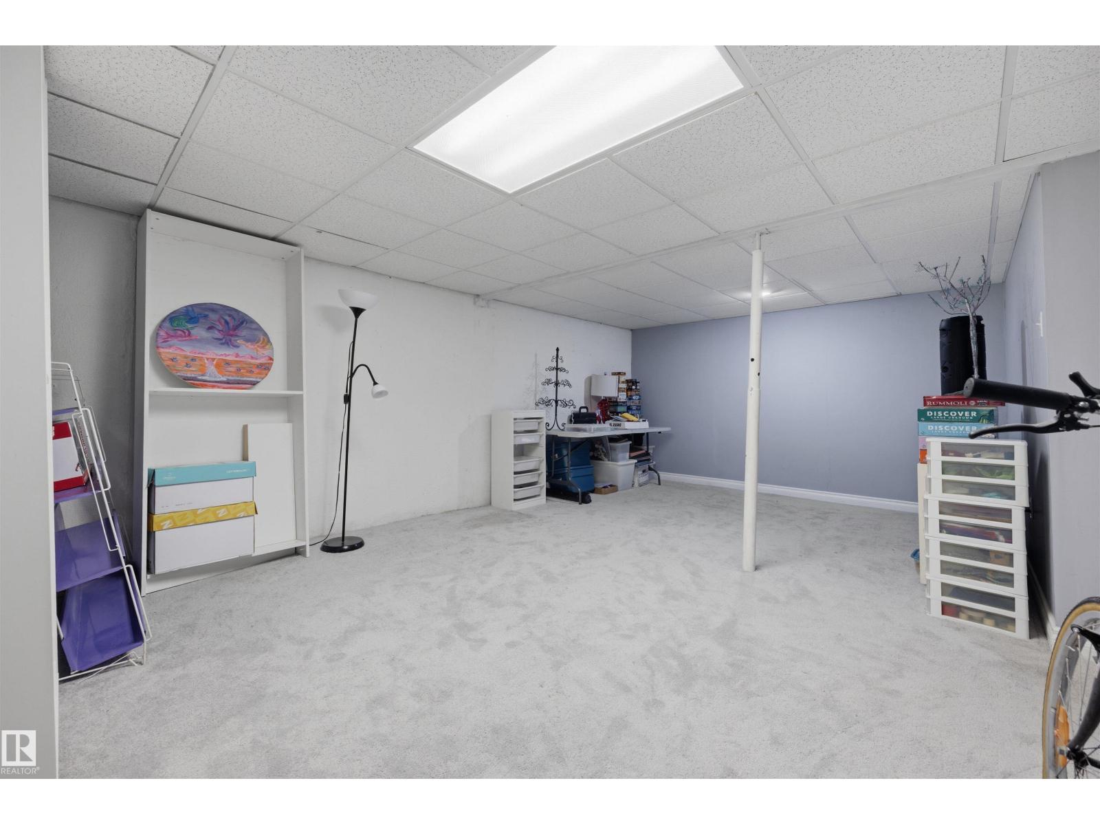 #3 18315 89 Av Nw Property Photo 28