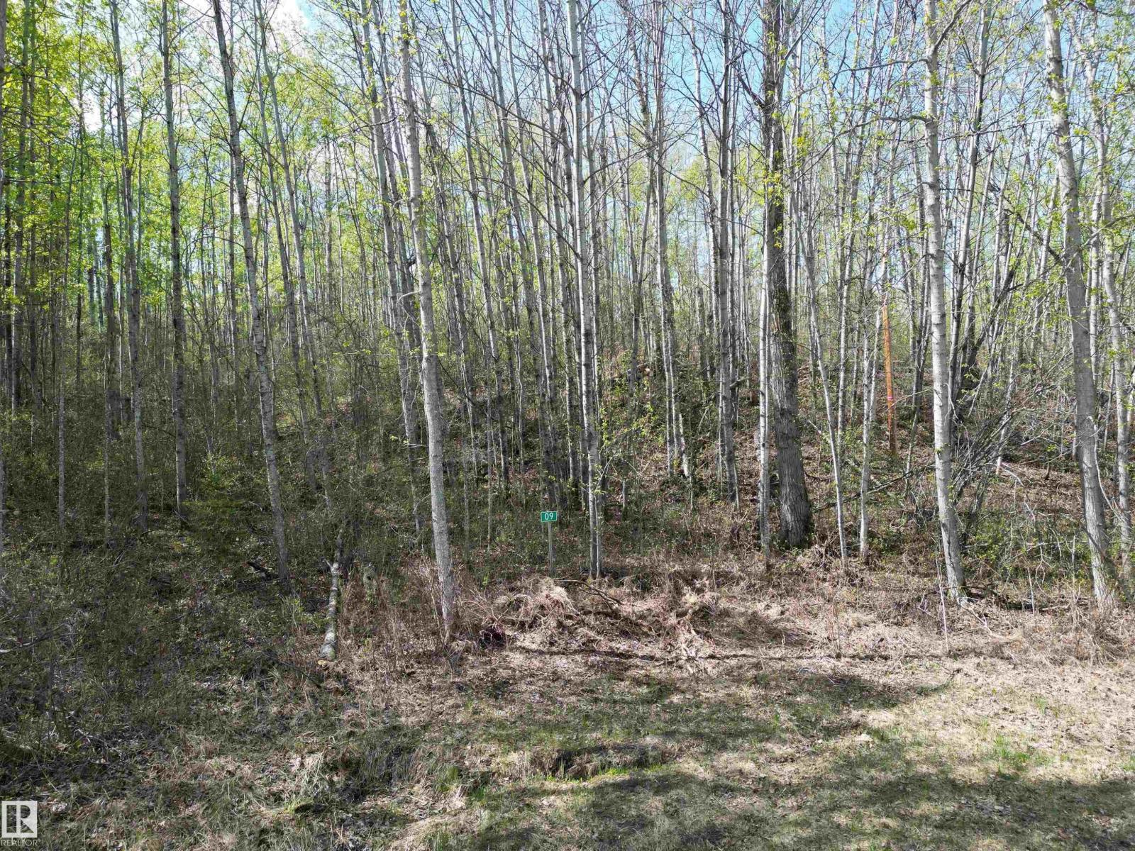 #9&10 59316 Rr54 Property Photo 3