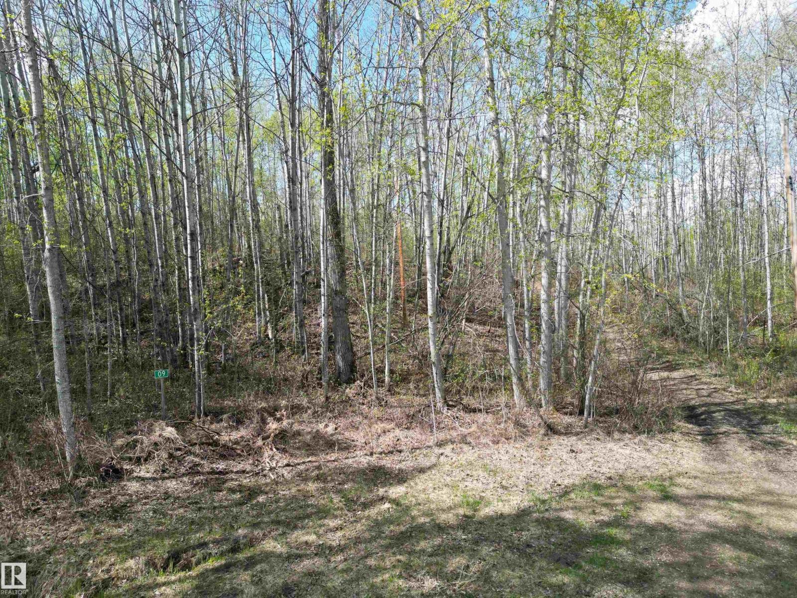 #9&10 59316 Rr54 Property Photo 4