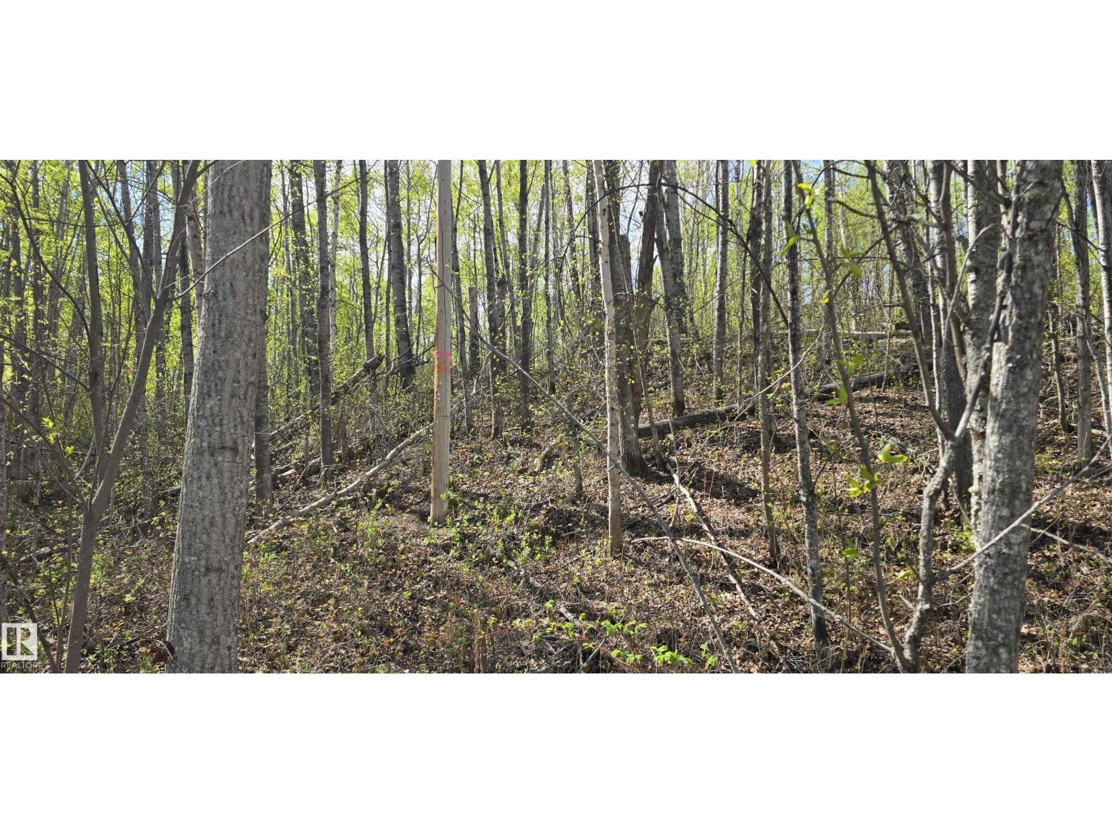 #9&10 59316 Rr54 Property Photo 27