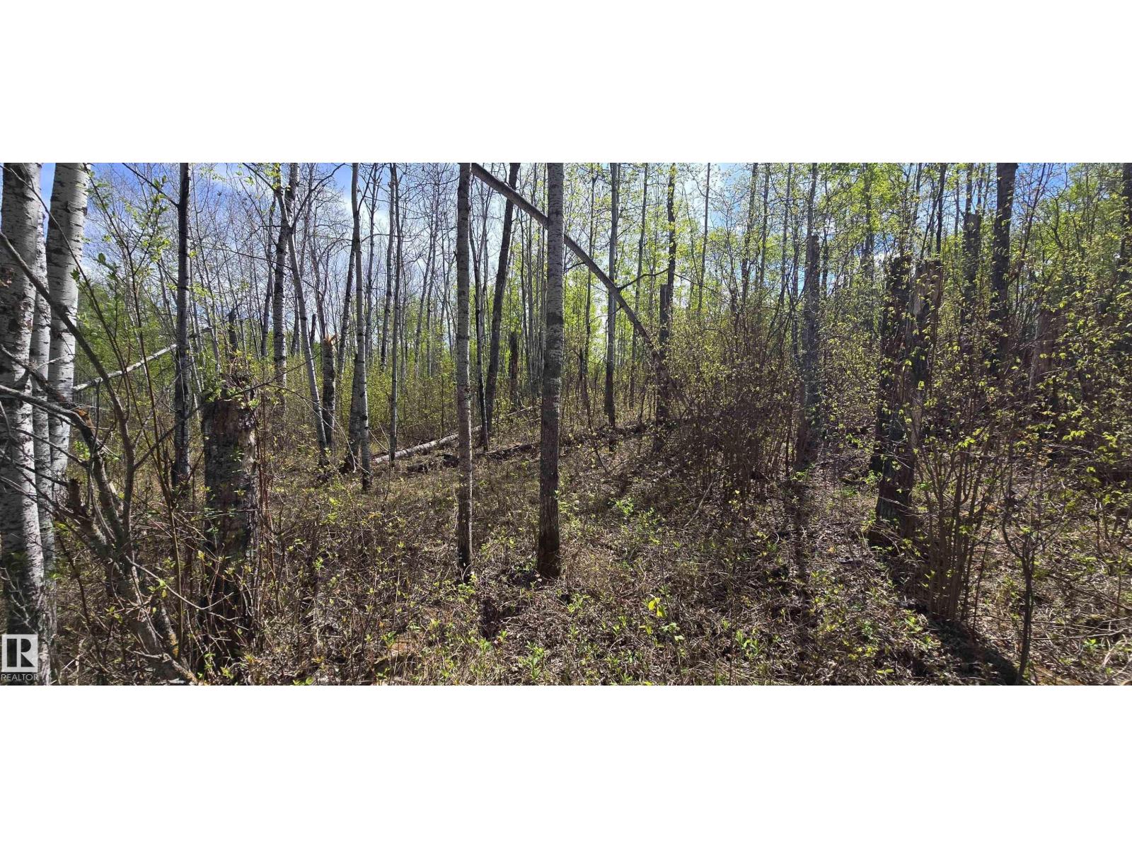 #9&10 59316 Rr54 Property Photo 29