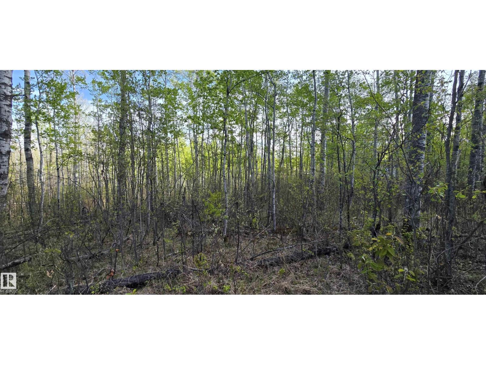 #9&10 59316 Rr54 Property Photo 33