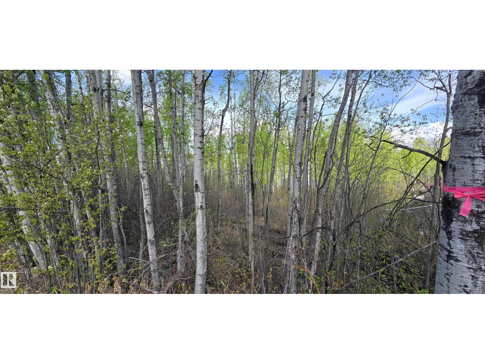 #9&10 59316 Rr54 Property Photo 35