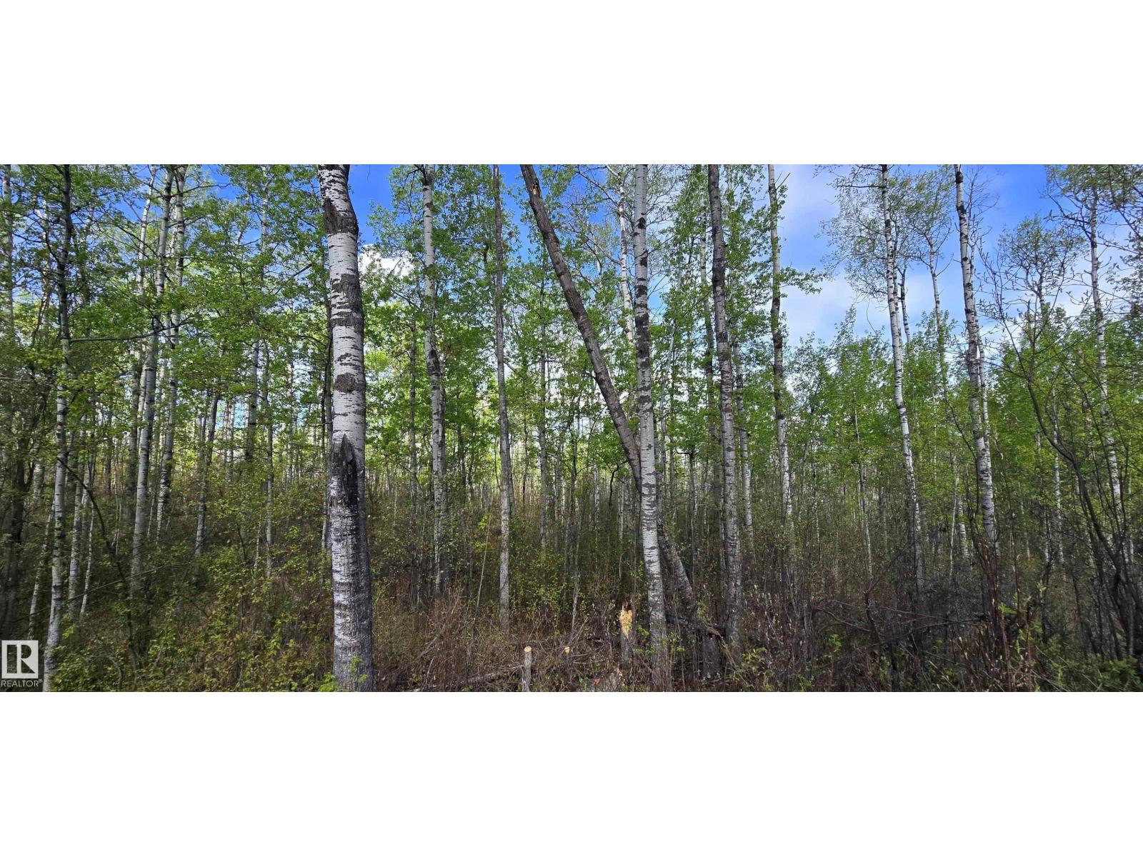 #9&10 59316 Rr54 Property Photo 36