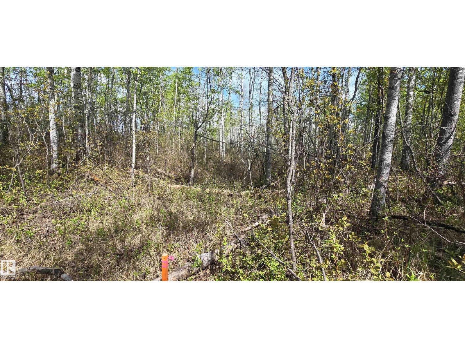 #9&10 59316 Rr54 Property Photo 37