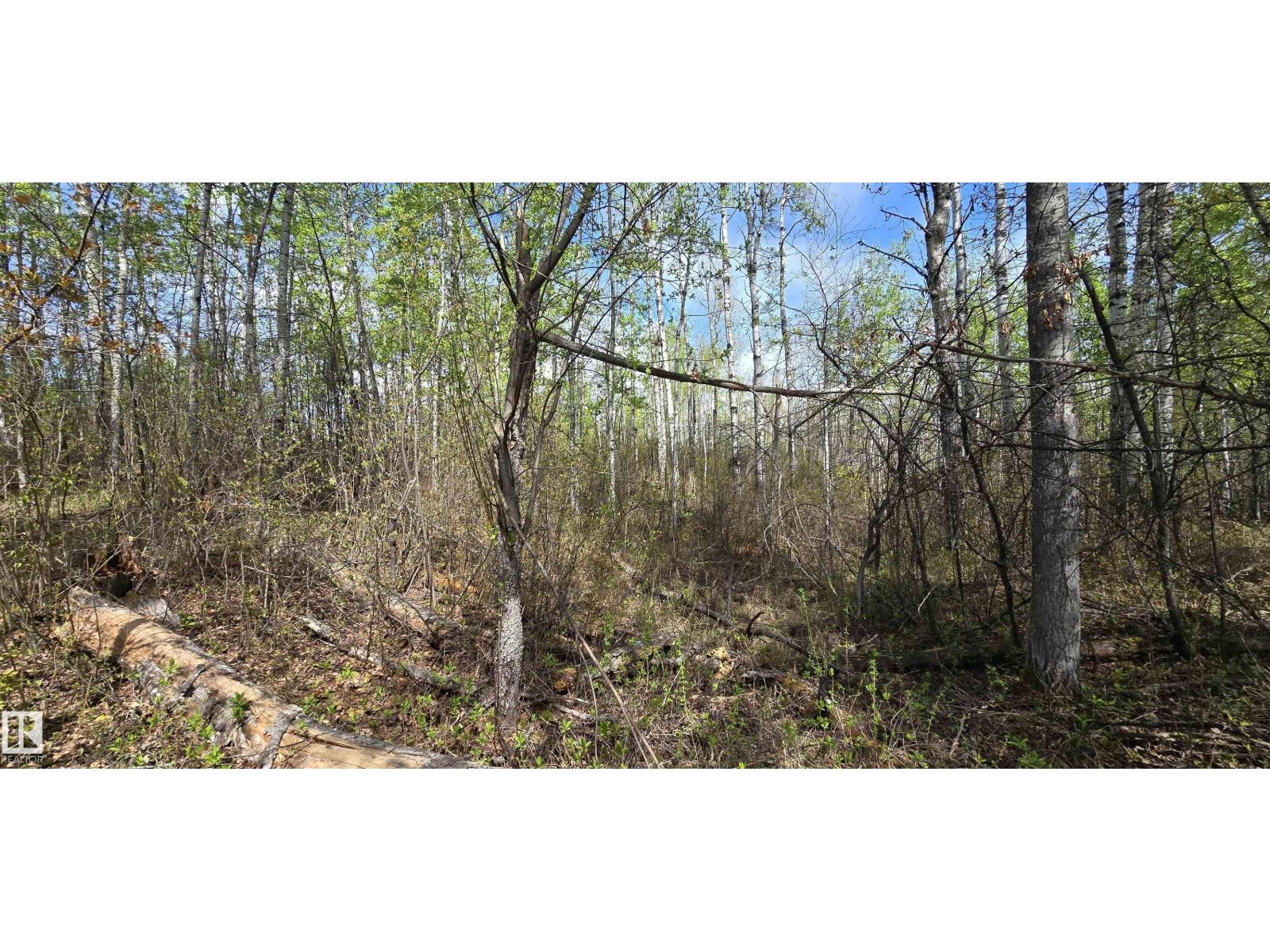 #9&10 59316 Rr54 Property Photo 38