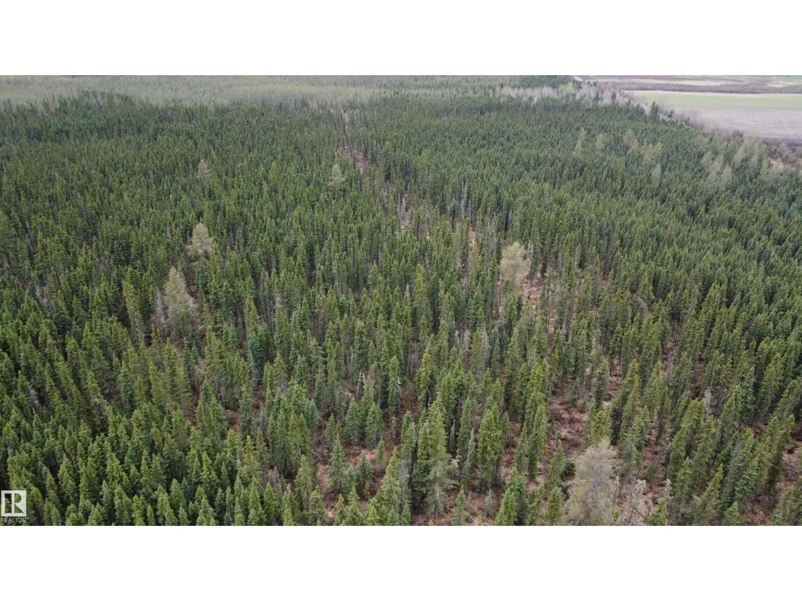 Hwy 2 Rr 263 Property Photo 55