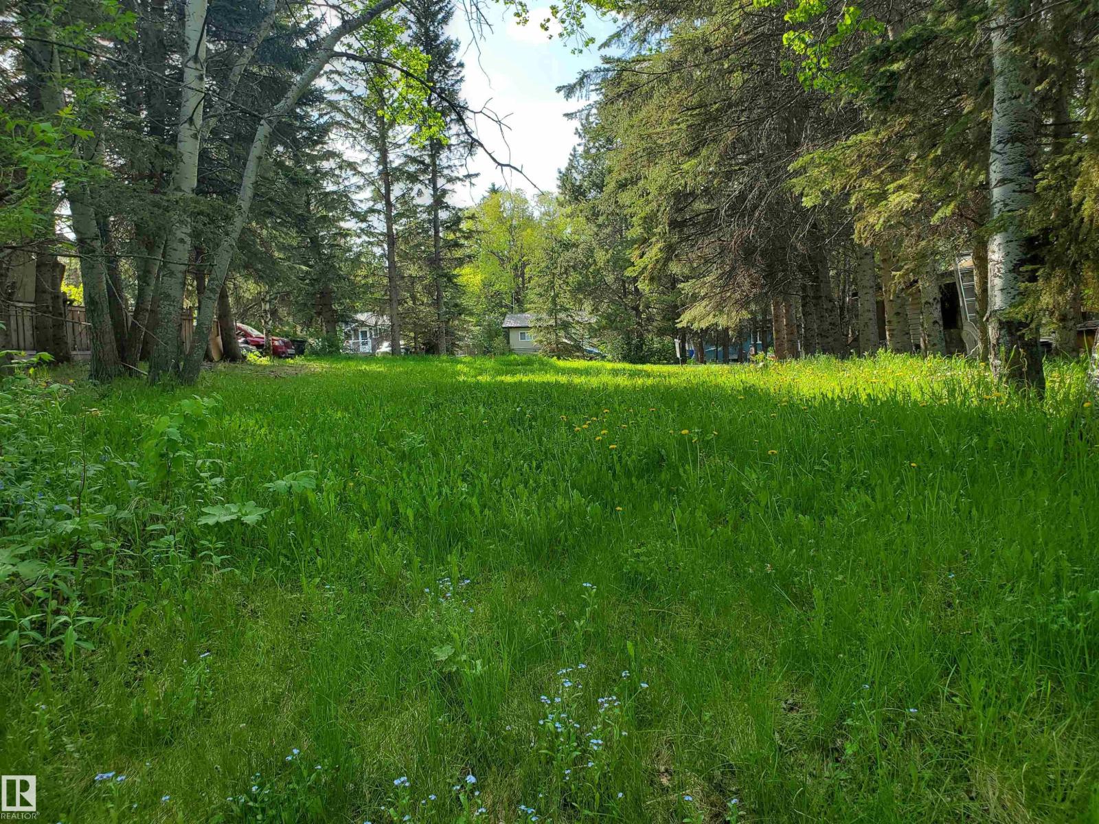 516 5 Norris Beach Pigeon Lake St Property Photo 2
