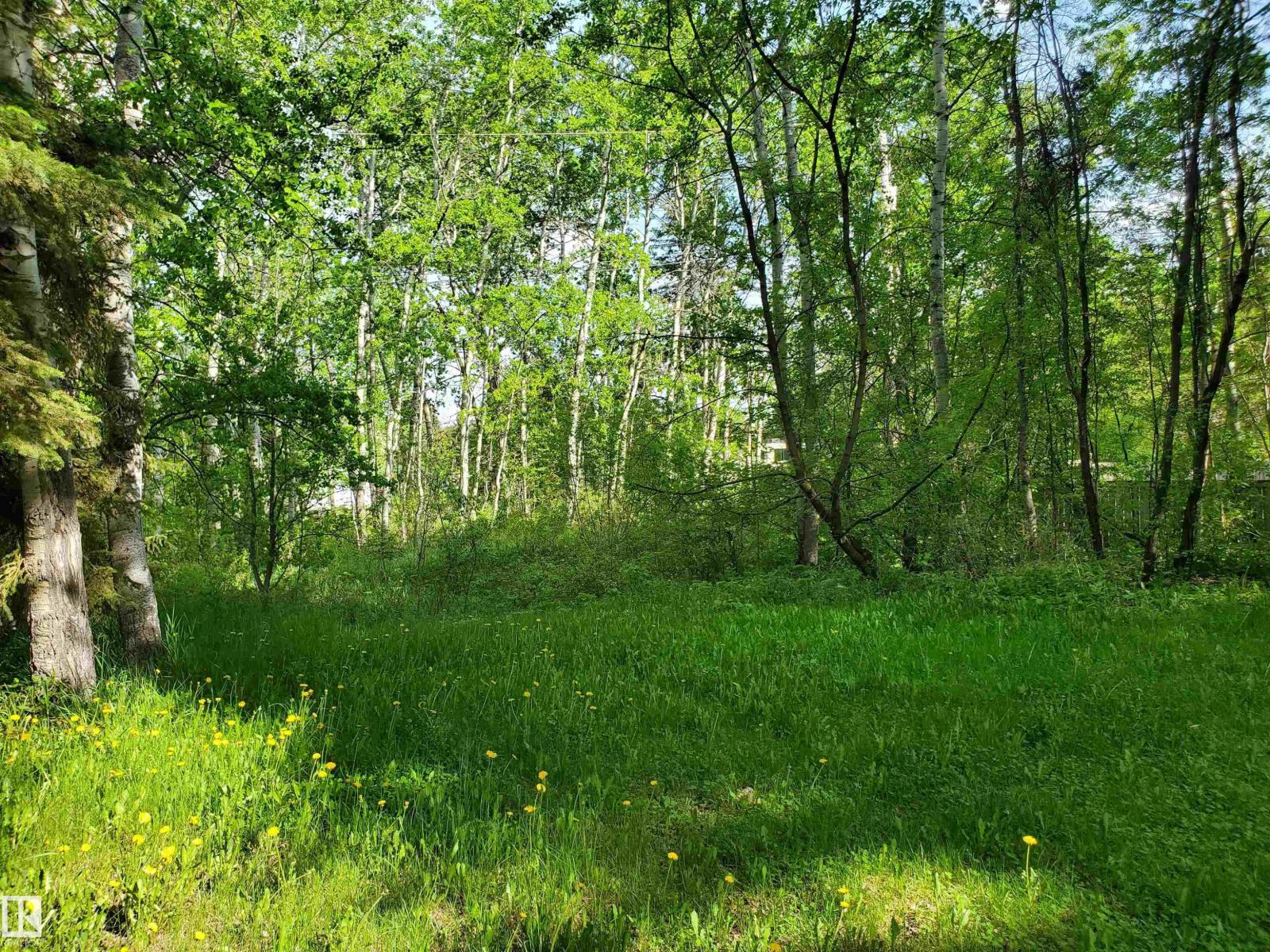 516 5 Norris Beach Pigeon Lake St Property Photo 3