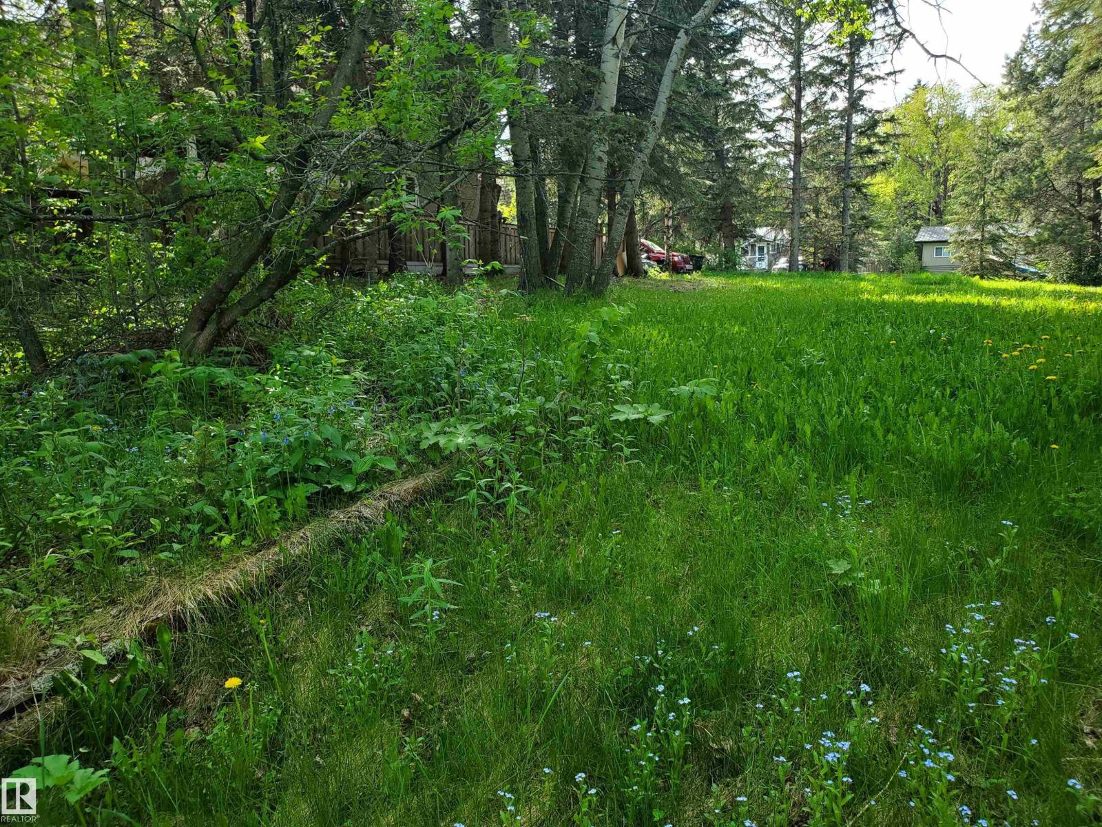 516 5 Norris Beach Pigeon Lake St Property Photo 4