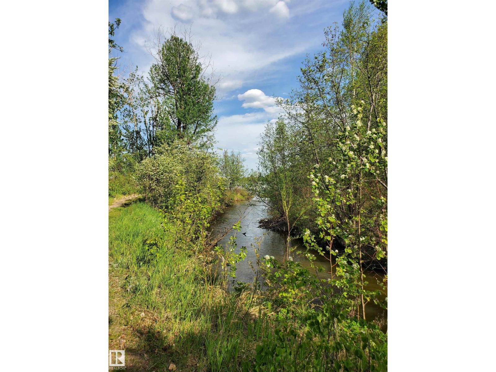 516 5 Norris Beach Pigeon Lake St Property Photo 19