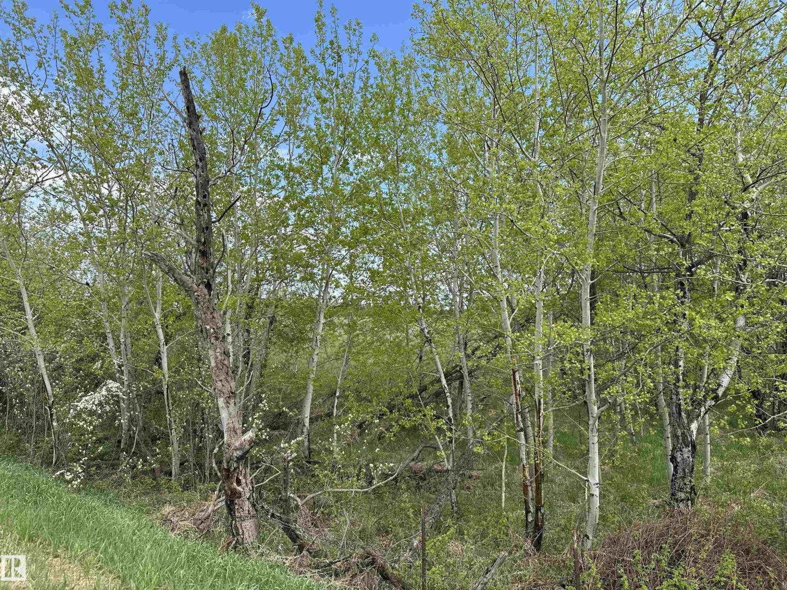 563003 Range Road 205 Property Photo 71
