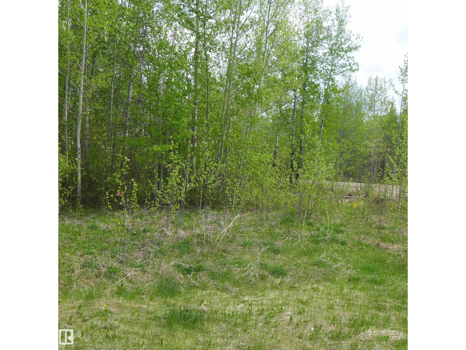 23 11032 - Hwy 13 Property Photo 3