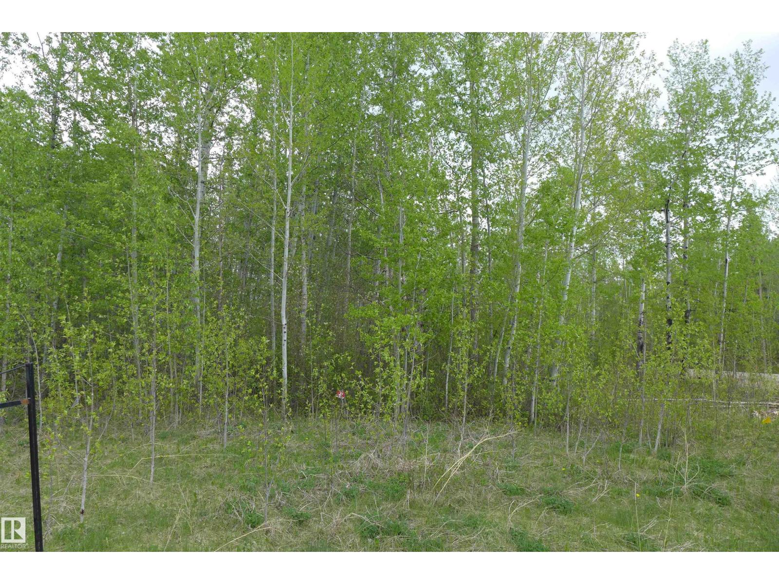 23 11032 - Hwy 13 Property Photo 4