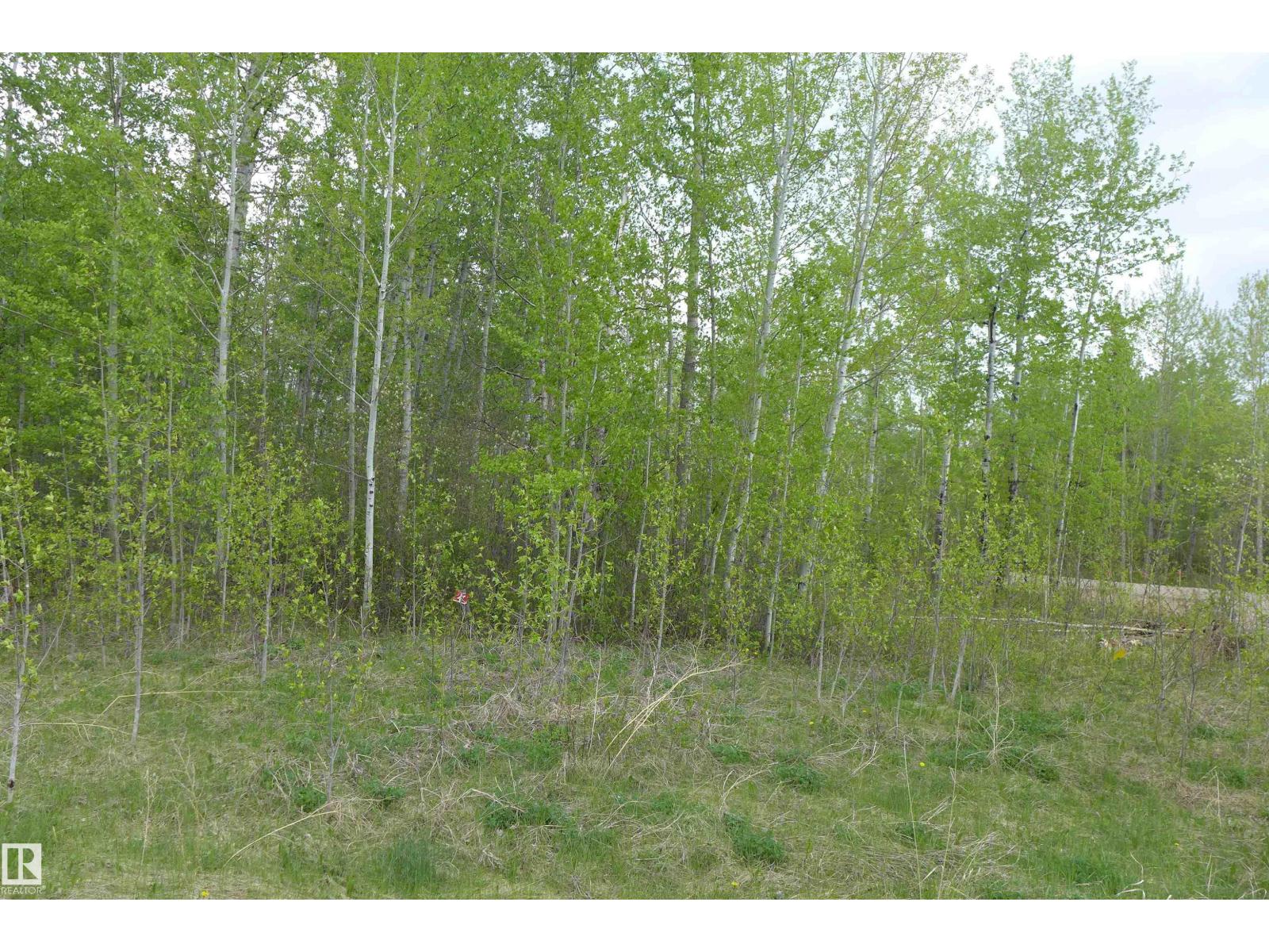 23 11032 - Hwy 13 Property Photo 5
