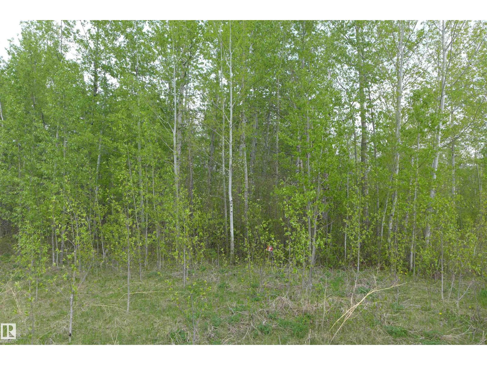 23 11032 - Hwy 13 Property Photo 6