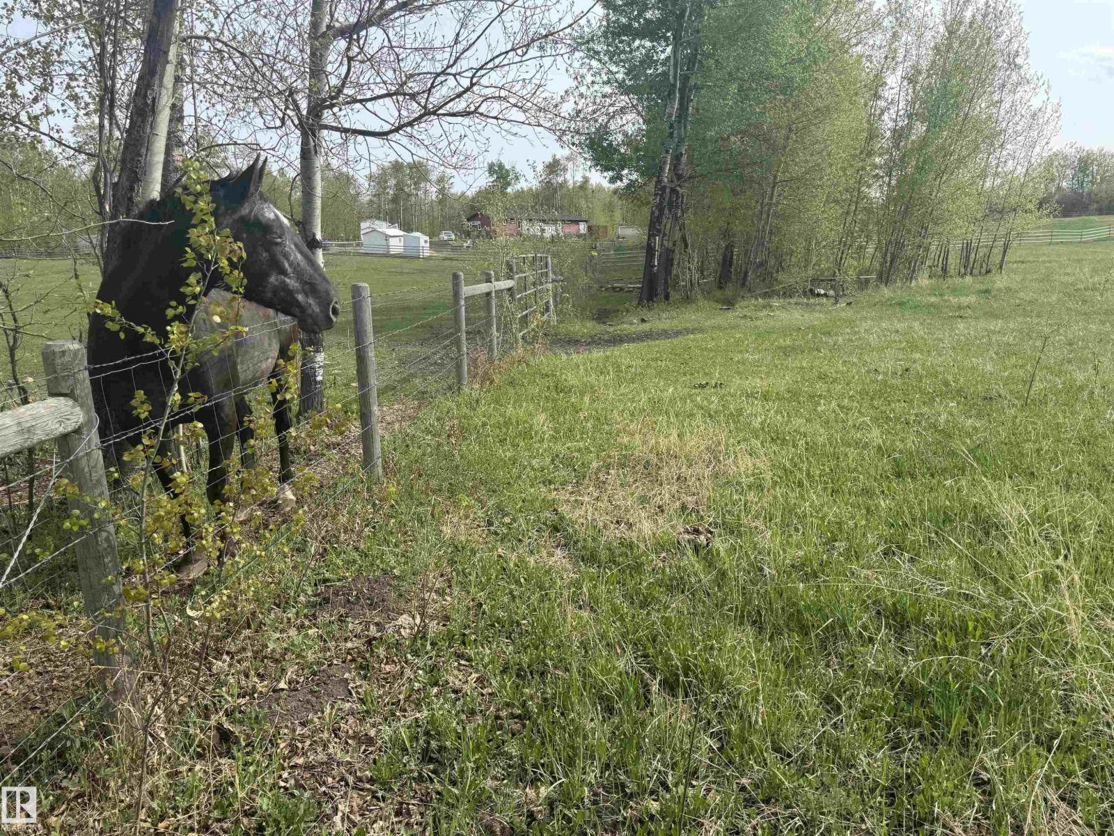 281029 Hwy 616 Property Photo 8