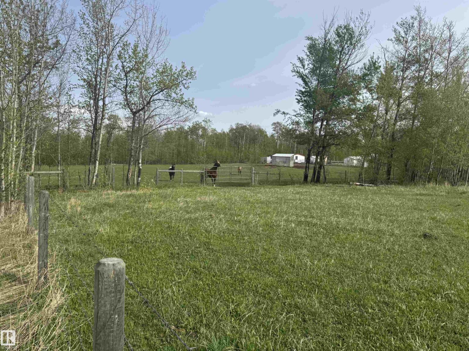 281029 Hwy 616 Property Photo 14