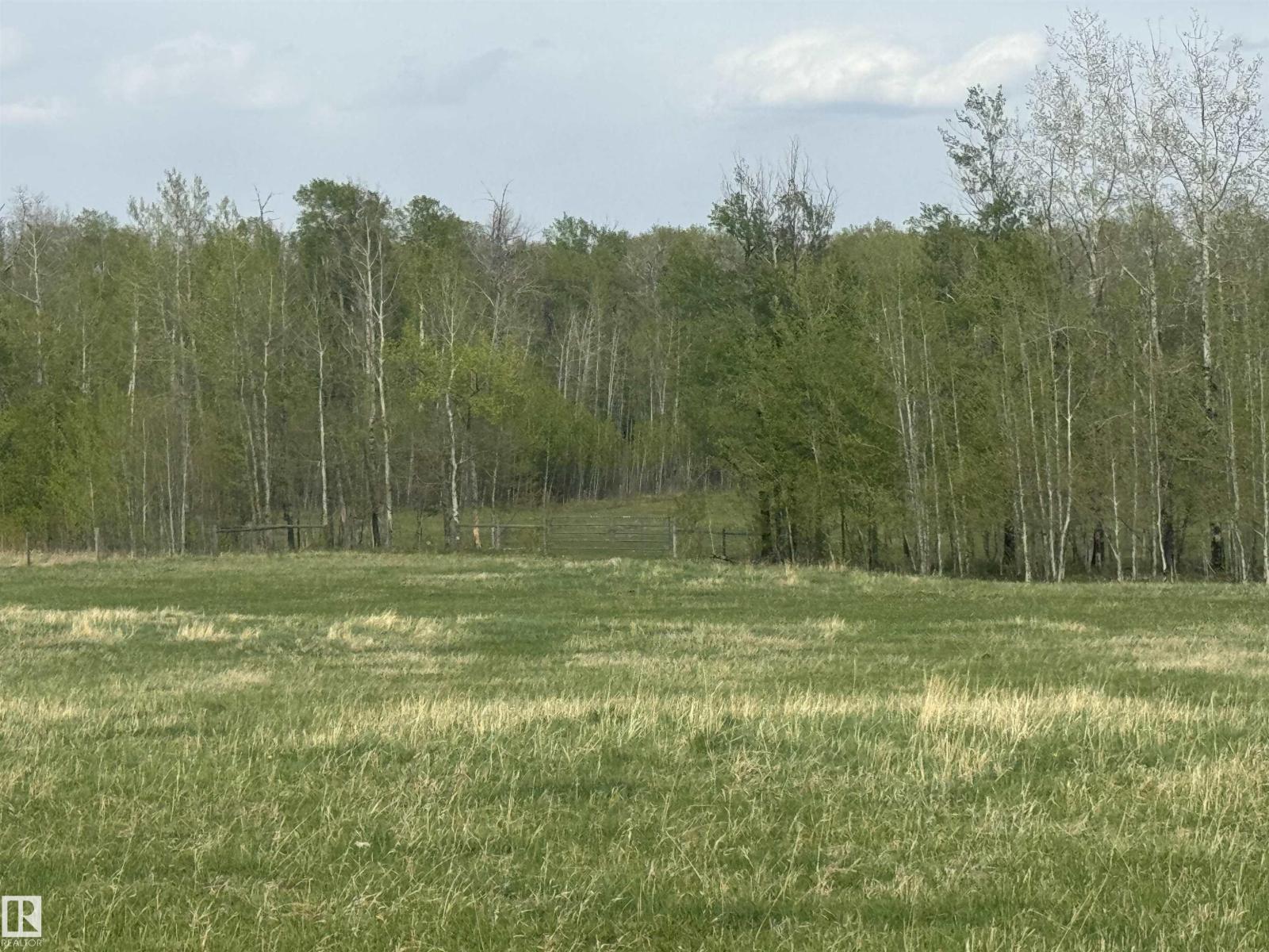 281029 Hwy 616 Property Photo 18