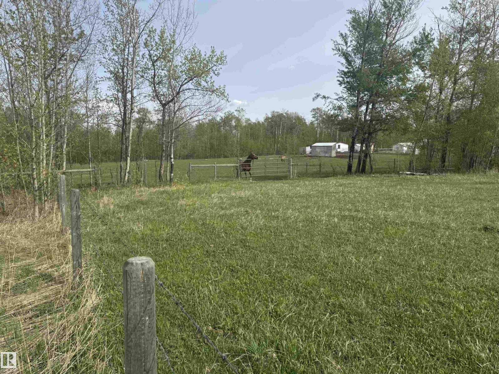 281029 Hwy 616 Property Photo 22