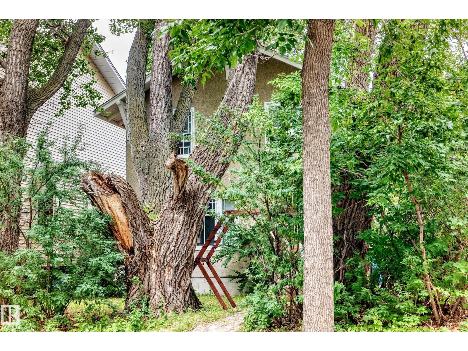 8630 108a St Nw Property Photo 50