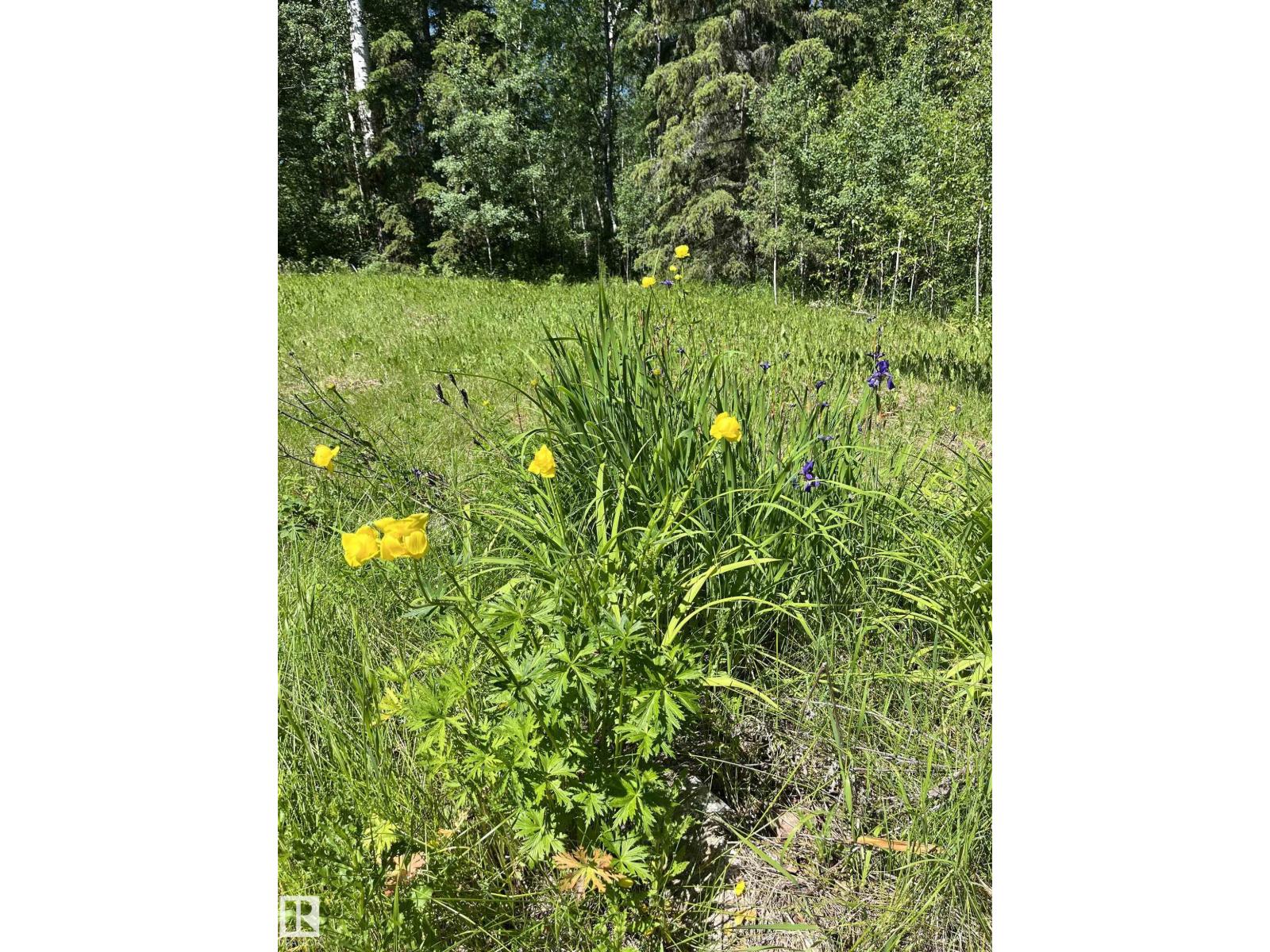 #26 54104 Rge Rd 35 Property Photo 9