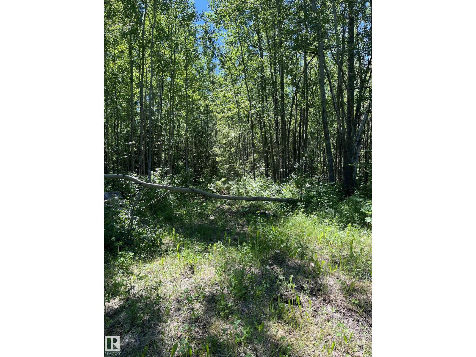 #26 54104 Rge Rd 35 Property Photo 11