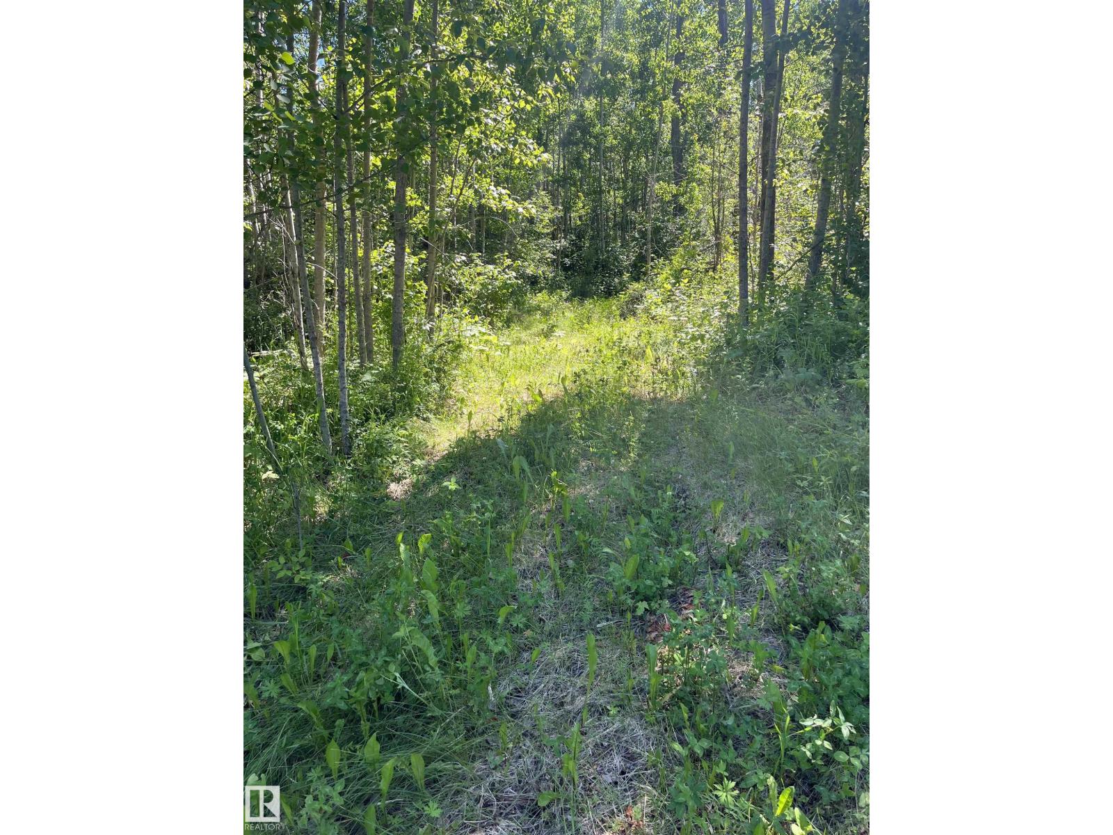 #26 54104 Rge Rd 35 Property Photo 12