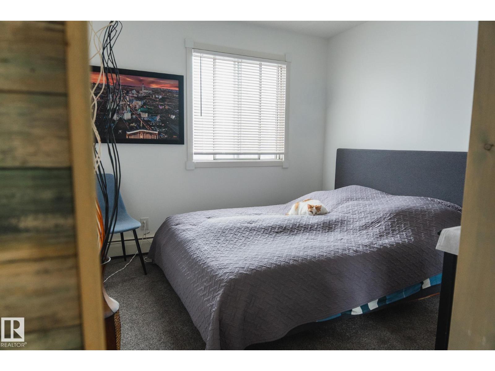 #303 10432 76 Av Nw Property Photo 21