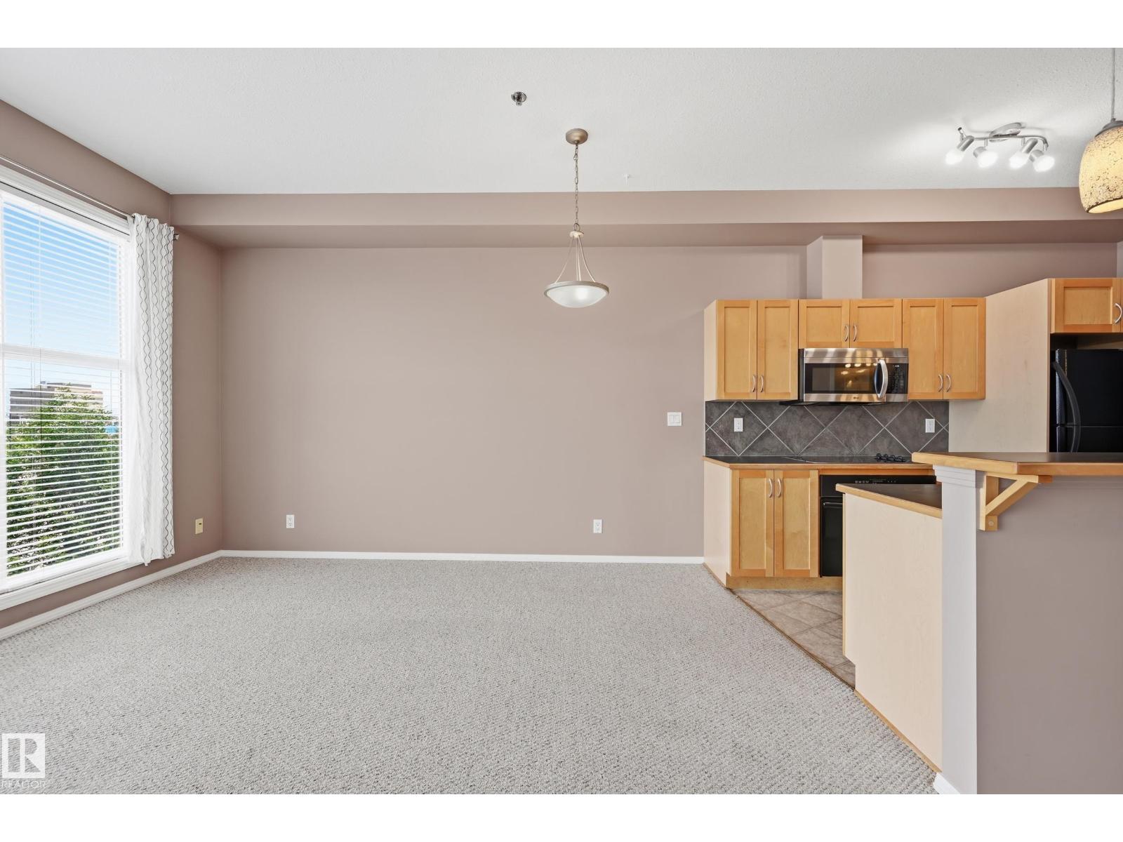 #369 4823 104a St Nw Property Photo 13