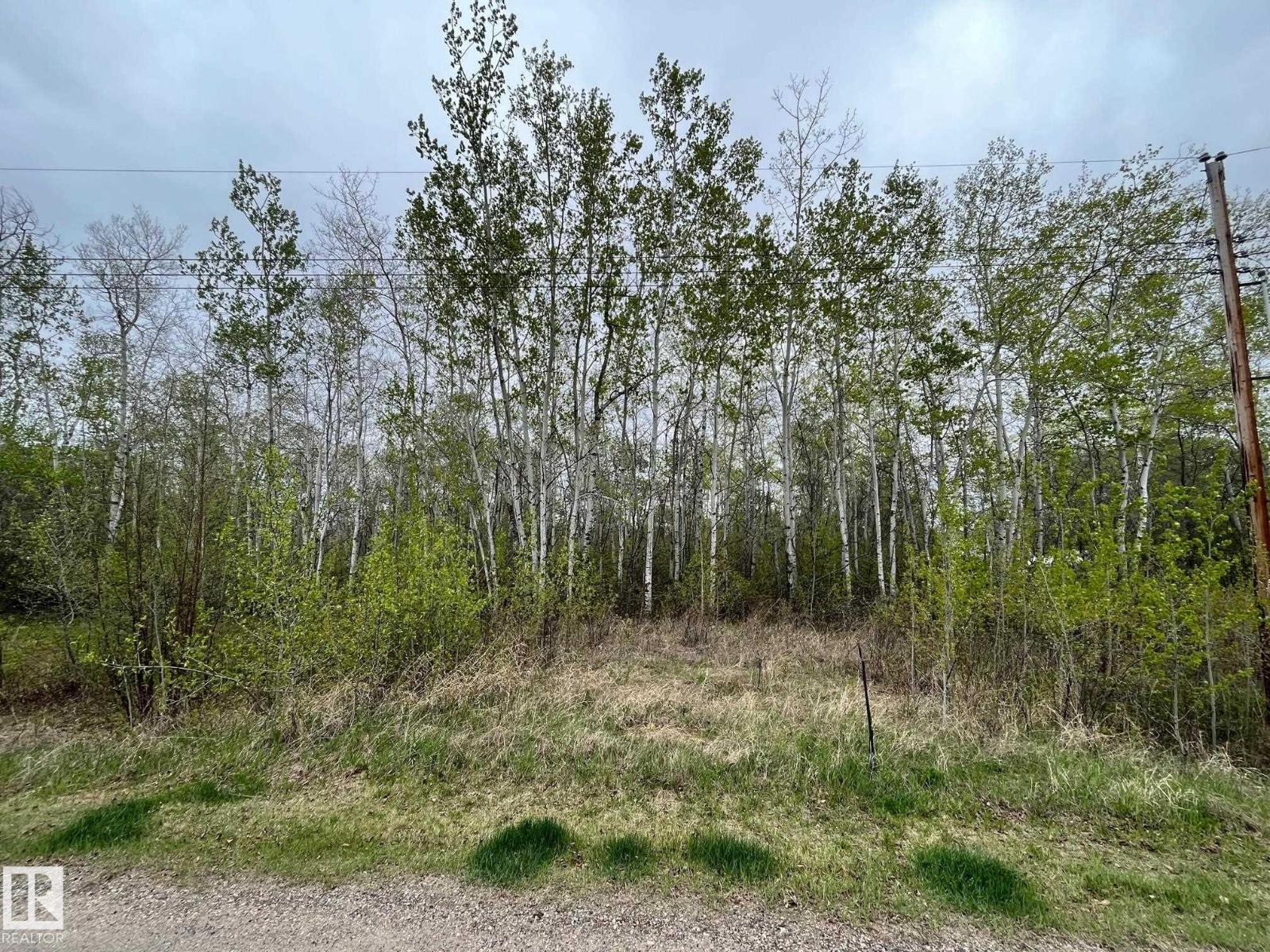 #28 60503 Rge Rd 470 Property Photo 3