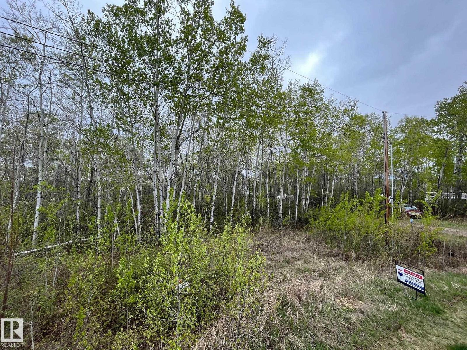 #28 60503 Rge Rd 470 Property Photo 4