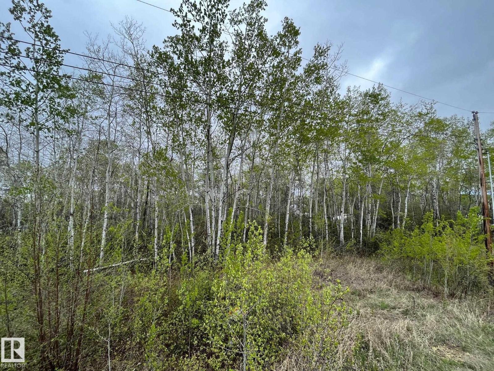 #28 60503 Rge Rd 470 Property Photo 5
