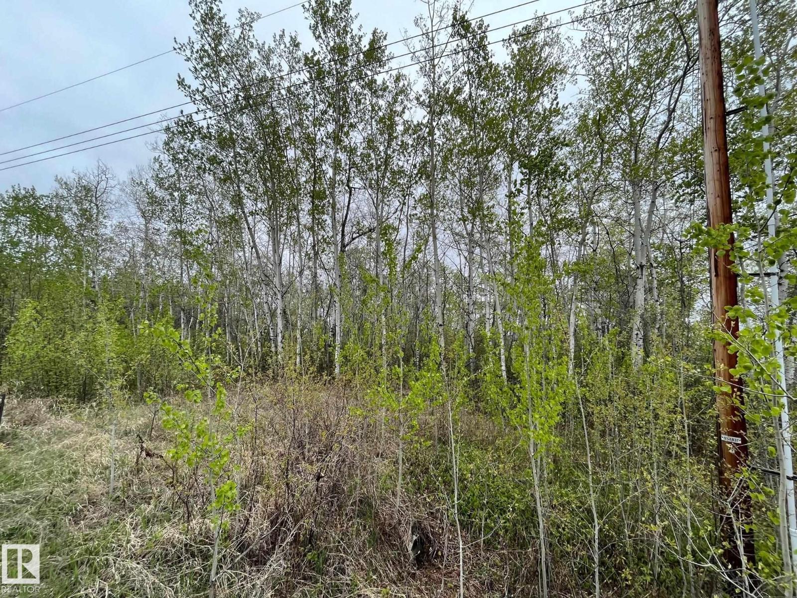 #28 60503 Rge Rd 470 Property Photo 6