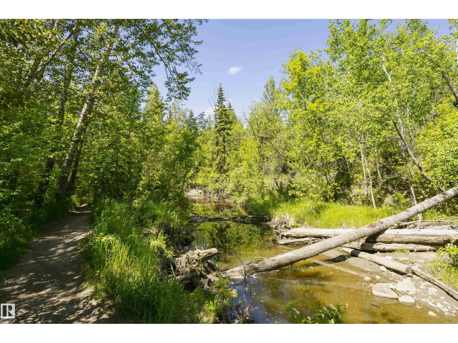 #208 9907 91 Av Nw Property Photo 54