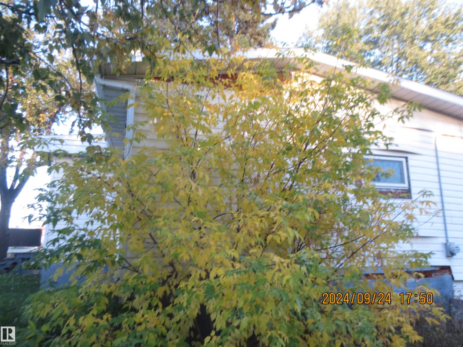 4615 4 Avenue Property Photo 14