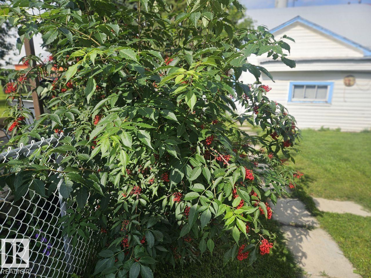 5024 50 St Property Photo 29