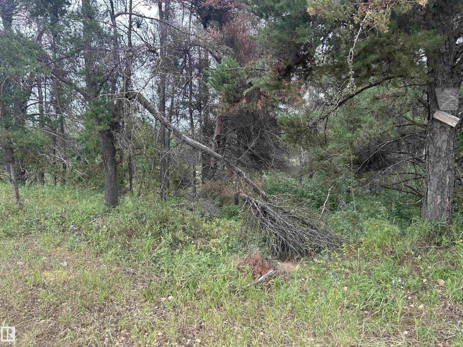 Nw-30-57-17-w4 Property Photo 4