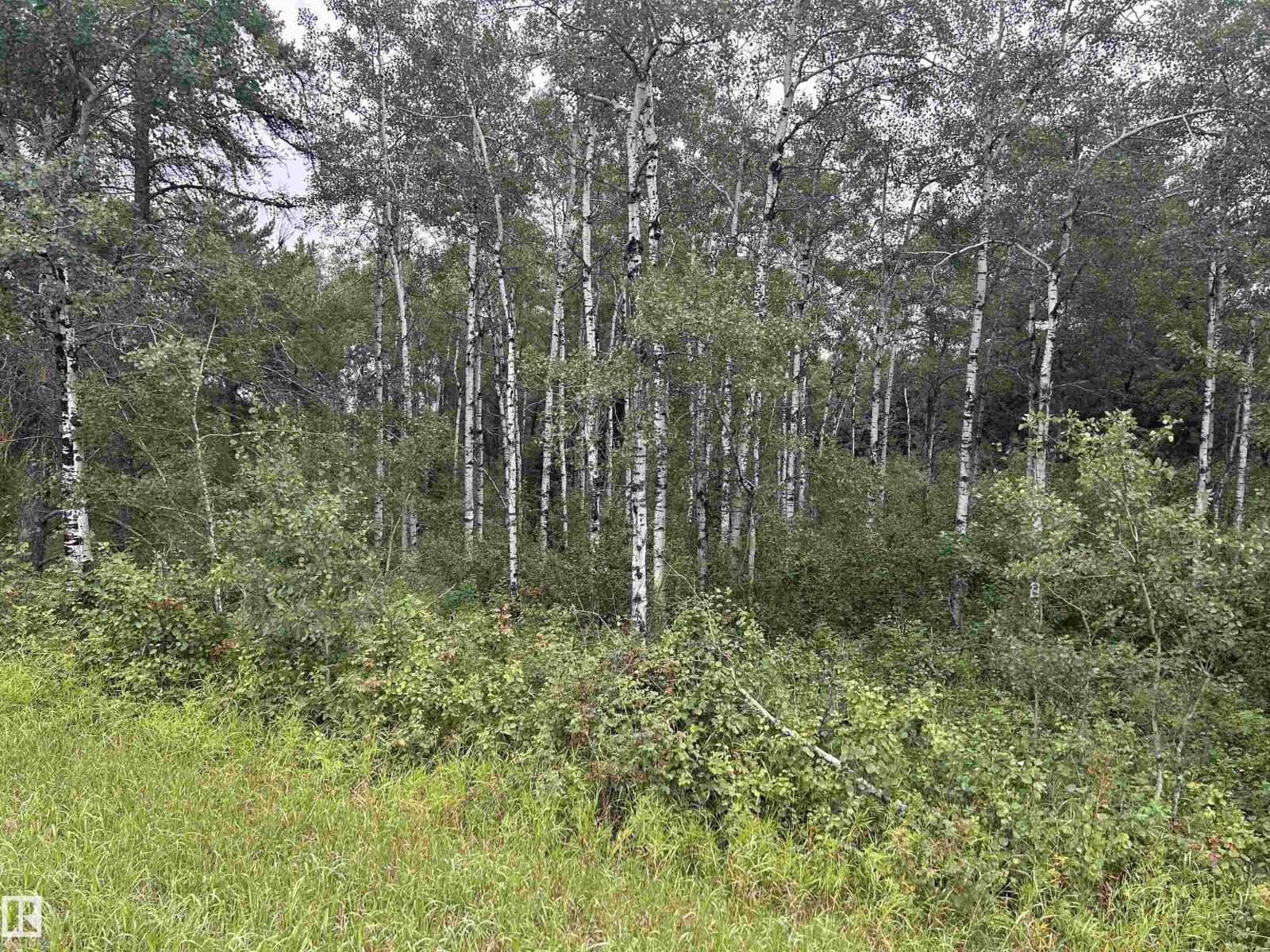 Nw-30-57-17-w4 Property Photo 5