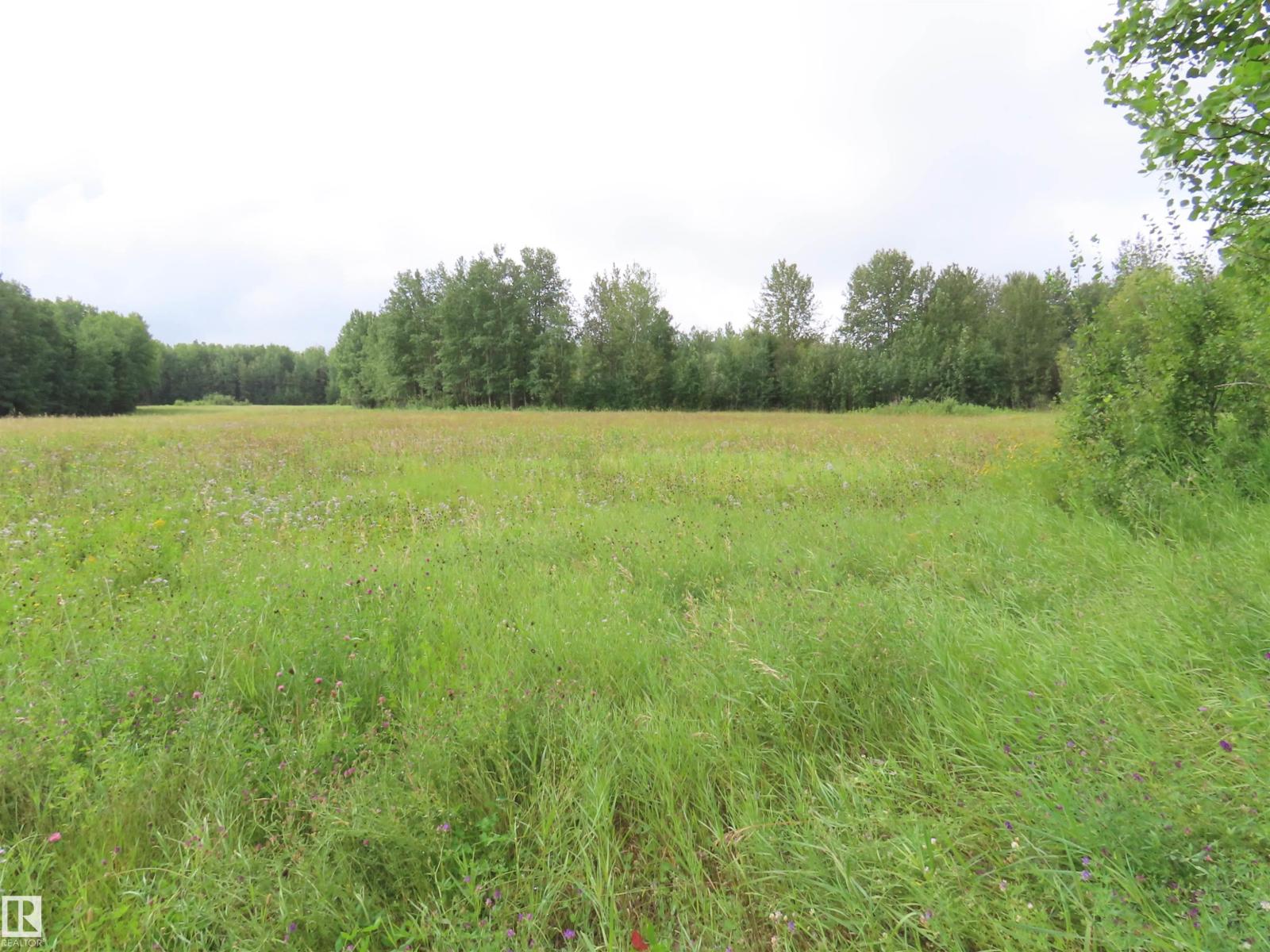 2217 Township 560 Property Photo 26