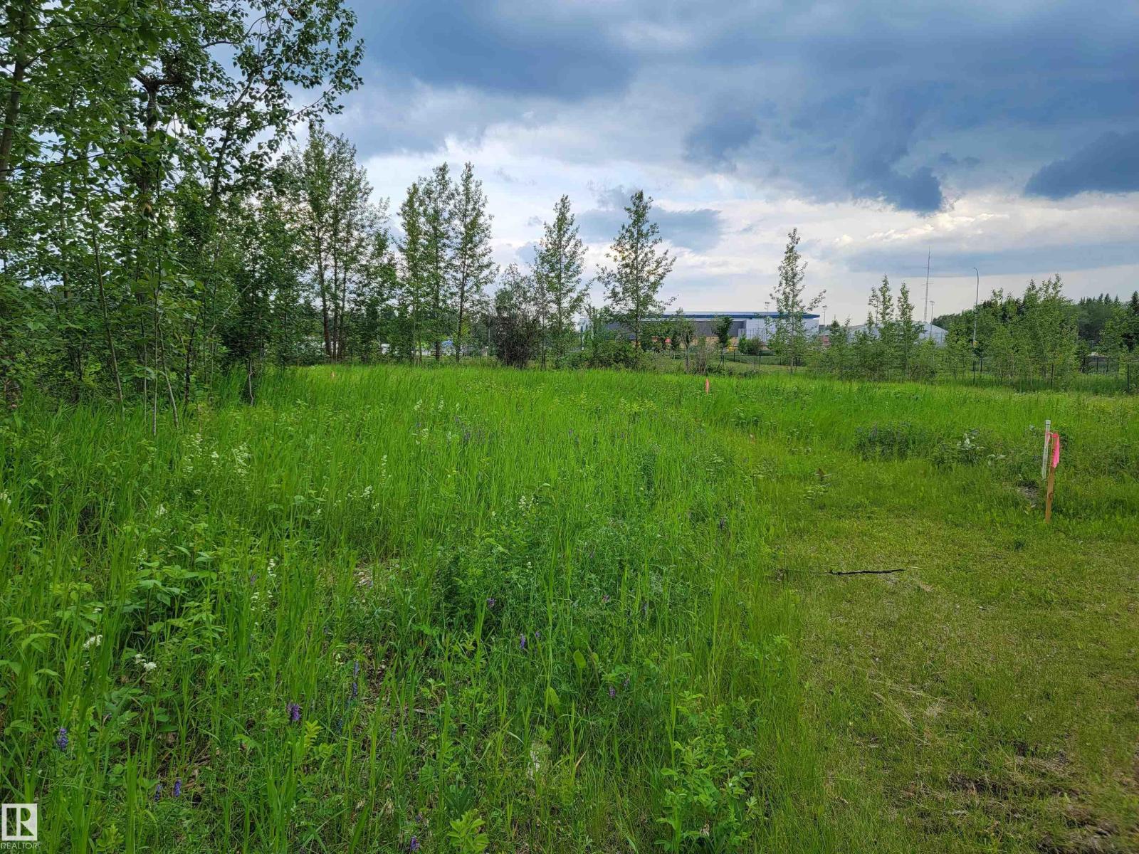 Third Avenue Range Rd 222 (sec Hwy 824) Property Photo 29
