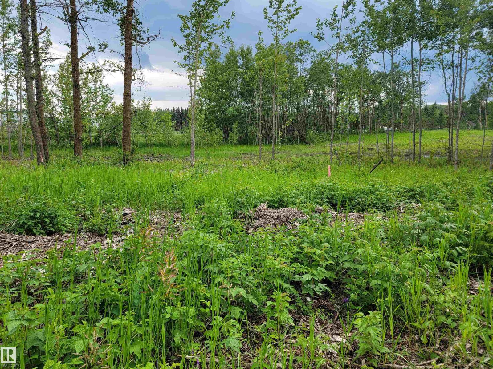 Third Avenue Range Rd 222 (sec Hwy 824) Property Photo 30